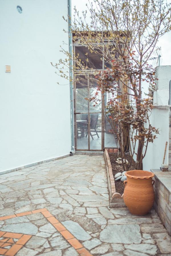 Violetta'S House Παραδοσιακή Βίλα Στην Πορταριά Exterior foto